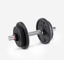 Mancuernas de 10 kg